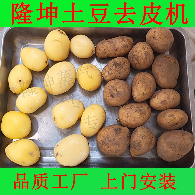 可定制全自动蒸汽去皮机 土豆芋头蒸汽脱皮机 农产品加工去皮设备