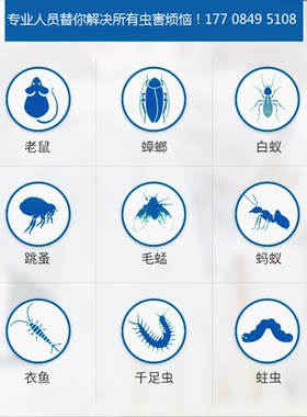 长沙上门灭鼠消杀公司除四害灭蟑螂服务抓老鼠捕捉专业驱虫除跳蚤