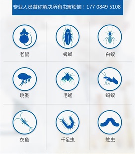 长沙上门灭鼠消杀公司除四害灭蟑螂服务抓老鼠捕捉专业驱虫除跳蚤