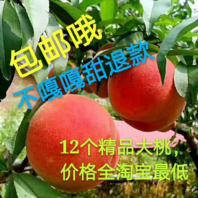 丹东河口燕红桃艳红桃礼盒装10斤12桃甜桃应季水果现摘现发新鲜