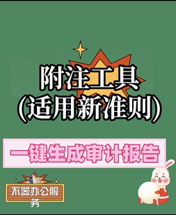 附注自动生成工具word附注关联excel模版可改(提供咨询)