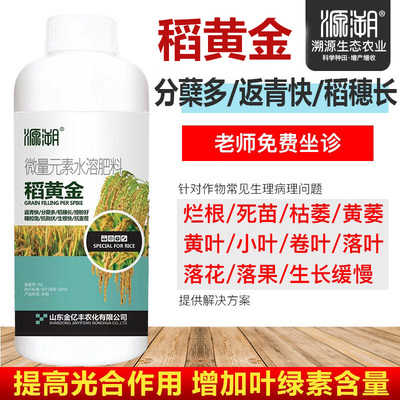 德国进口水稻专用高产复合肥稻黄金壮秧剂返青快分蘖多籽粒膨大饱