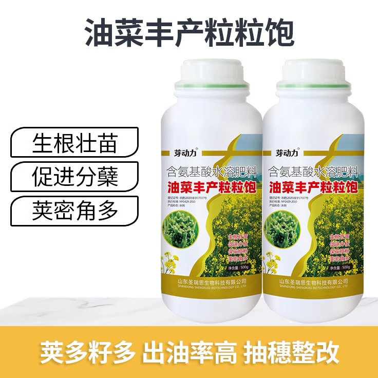 德国进口油菜丰产粒粒饱提高出油率促花授粉抗倒伏籽粒饱满油菜专