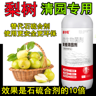 德国进口梨树清园剂梨树专用药代替石硫合剂杀菌杀卵杀螨清棚药梨