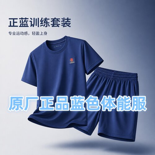 原厂正品蓝色消体能训练服短袖套装男夏季速干透气短袖短裤T恤