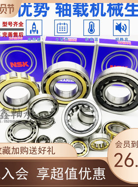 进口 NU304 305 306 307 308 309 310 EW EM C3 圆柱滚子轴承