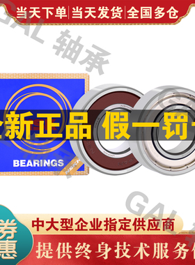 NSK轴承S 6206 ZZ DDU VV 2R S Z hZ NR轴承 P5