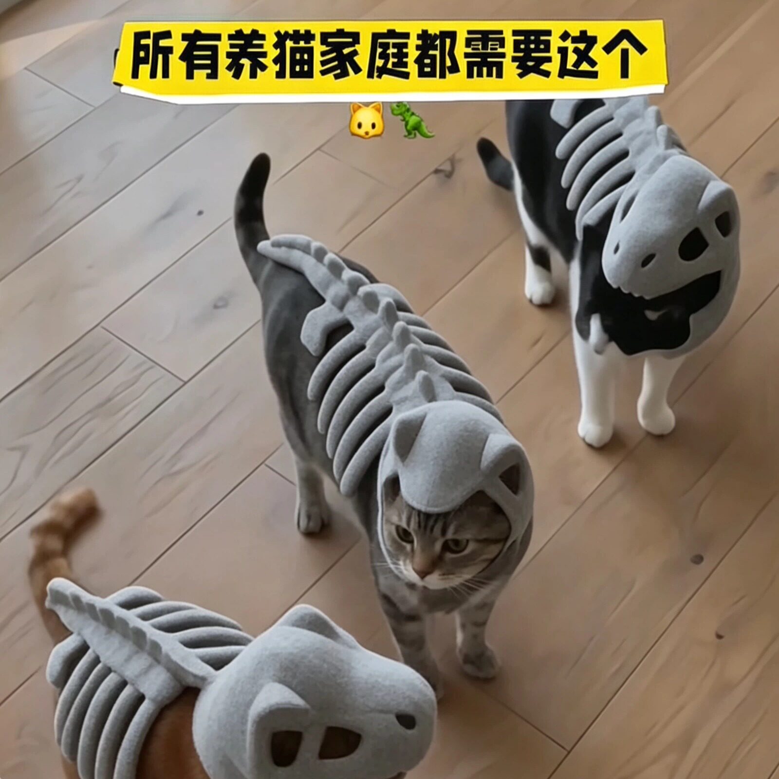 【猫龙~】恐龙骨架宠物衣