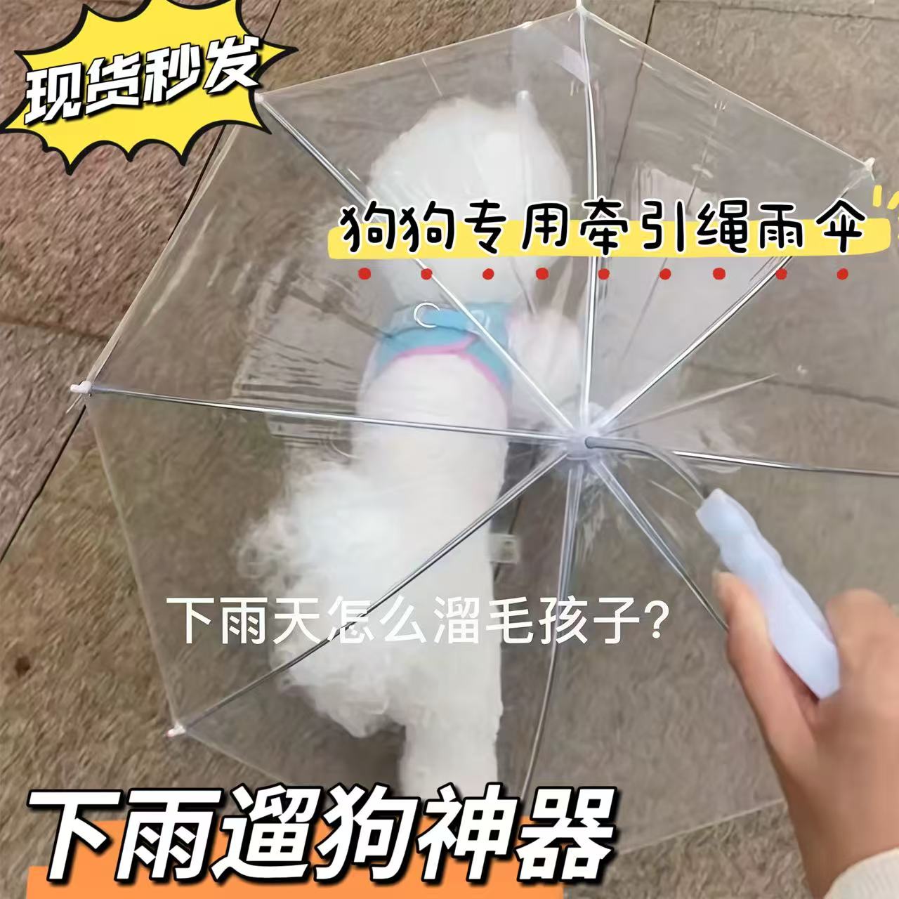 宠物专用狗狗雨伞下雨遛