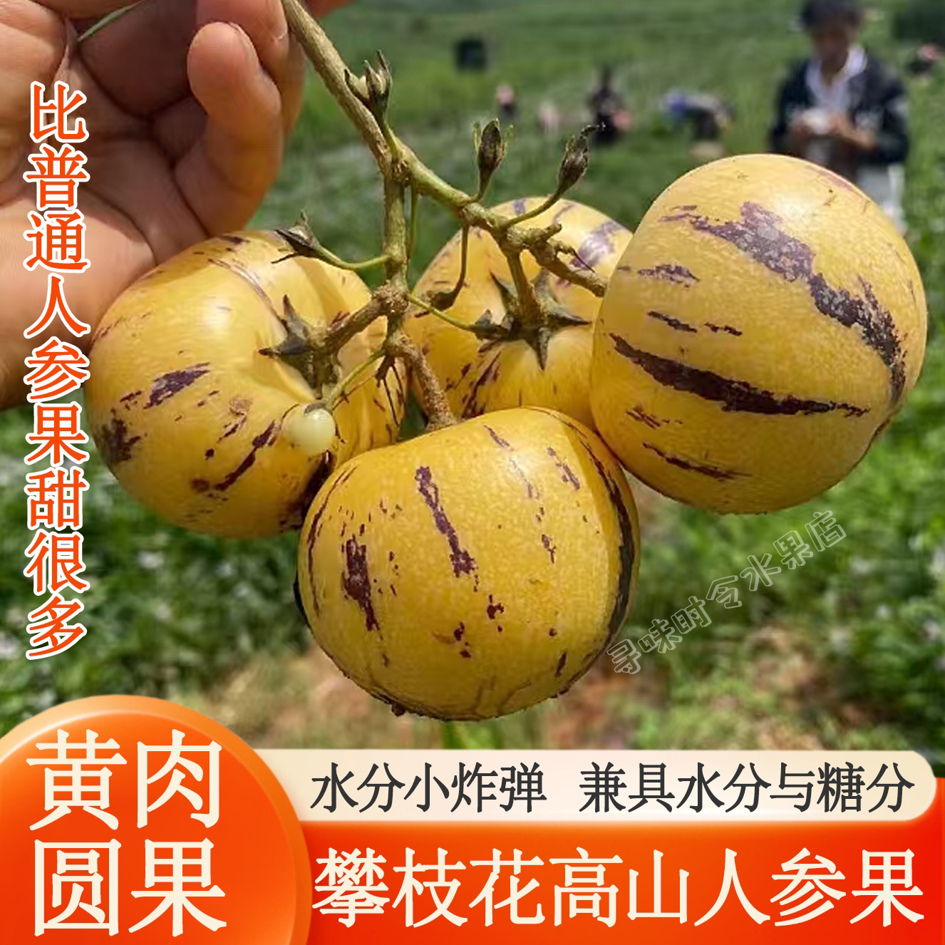 攀枝花高山蜜甜黄肉人参果现摘