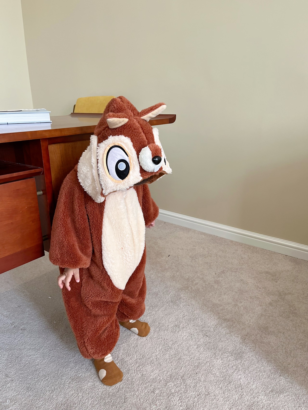 连帽拉链长爬秋冬季价格便宜