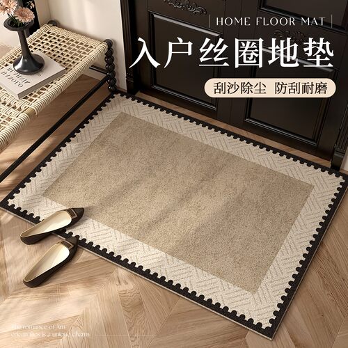 轻奢北欧风入户门门厅蹭泥门垫