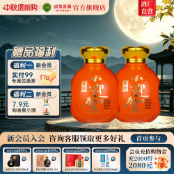 【官方旗舰】迎驾贡酒乐醇小迎驾45度双瓶浓香风格白酒