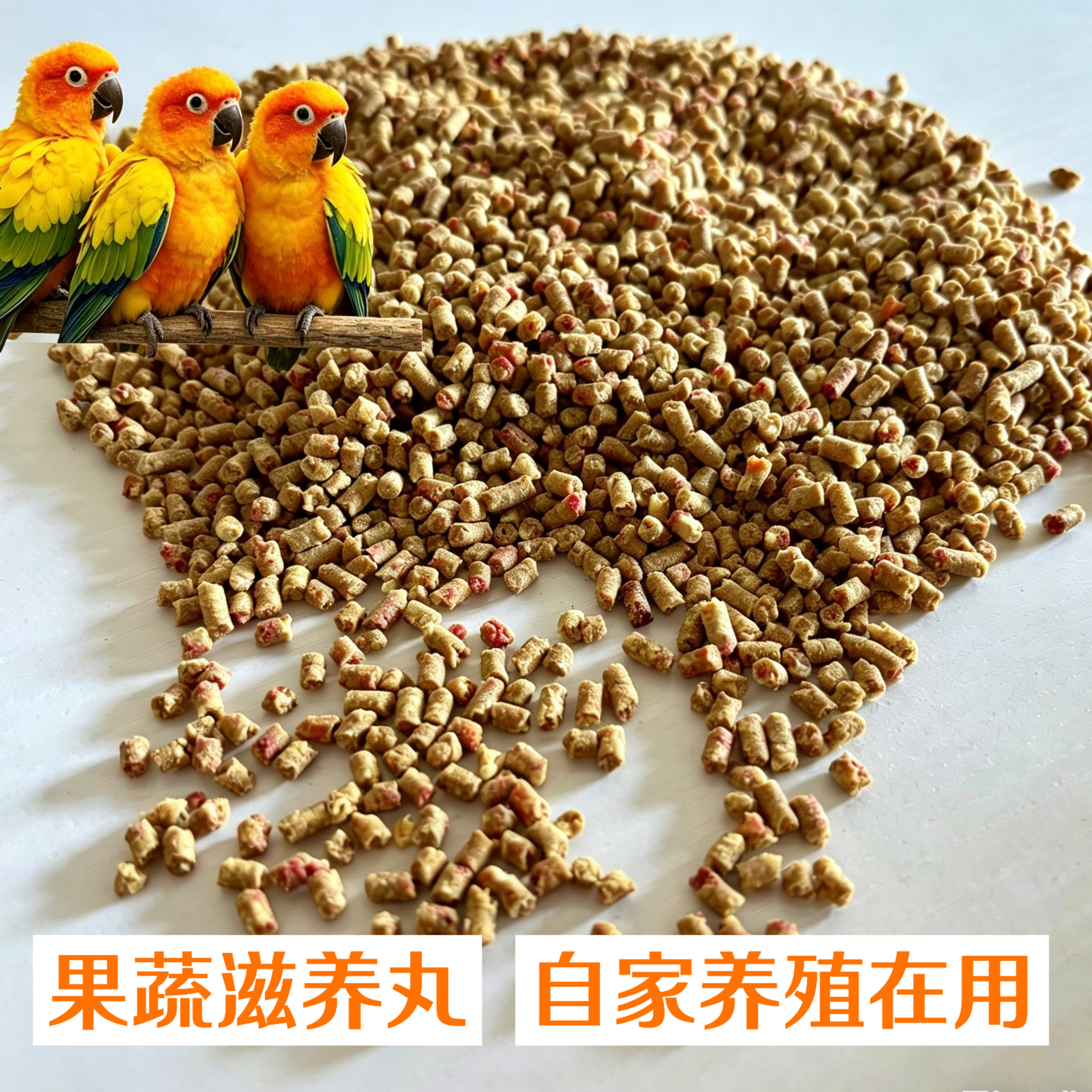 鹦鹉滋养丸中大型小太阳玄风和尚通用型奖励零食高能补充营养颗粒