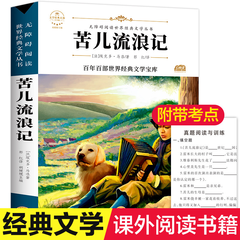 苦儿流浪记包邮正版法国埃克多.