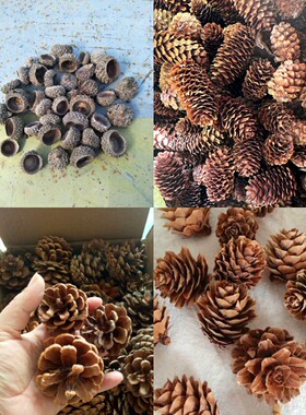 包邮干果混合松球本地松鱼鳞松果多款干花包装饰材料树皮木丝填充