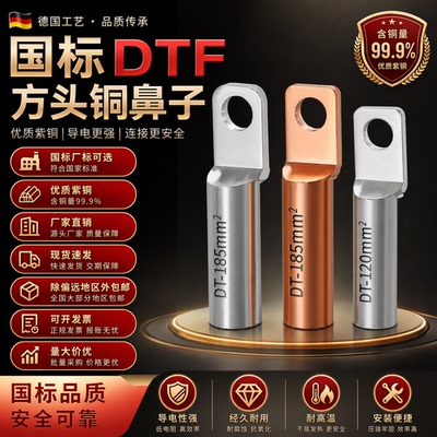 国标DTF方头铜鼻子油堵铜接头线鼻子2断路器线耳接线端子