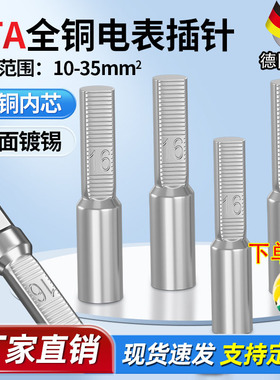 DTA-16 25 35电表紫铜镀锡插针铜鼻子 接线端子针式线鼻子纯铜