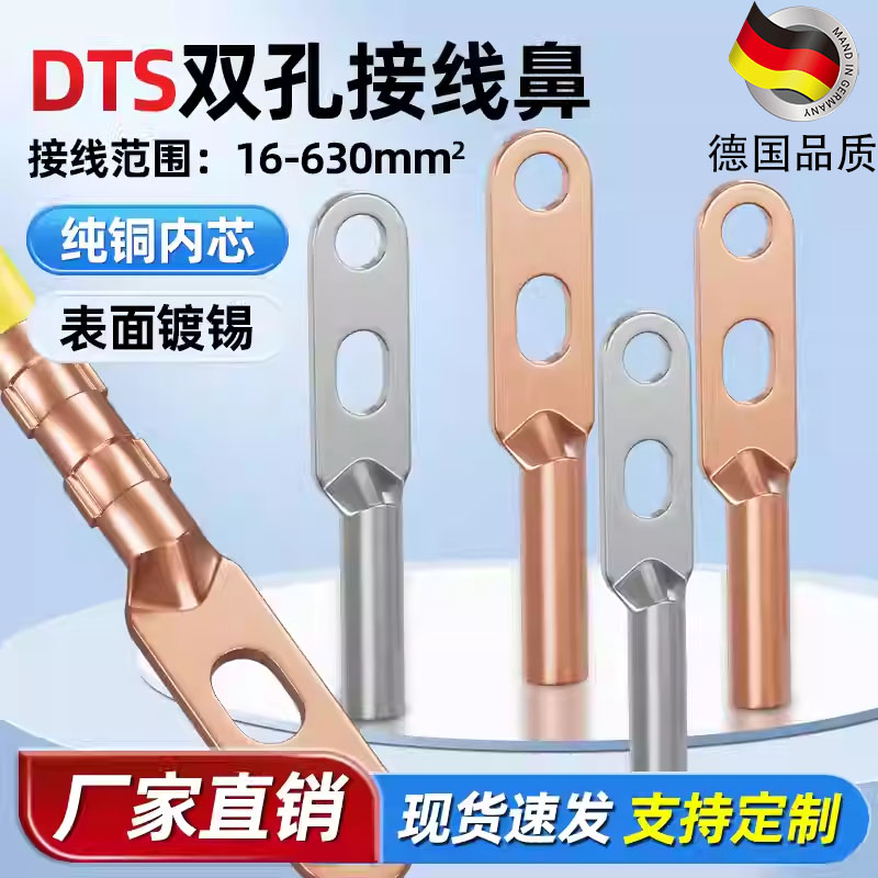DTLS双孔铜鼻子冷压铜接头铜线耳双眼铜接线端子国标