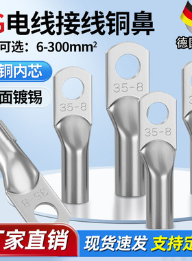 国标加厚JG船用铜鼻子紫铜镀锡线鼻子冷压接线端子铜线耳电缆接头