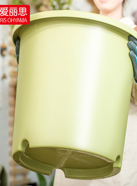 爱丽思彩色Deepot圆形深型花盆厚月季大号爱丽丝塑料绿萝吊兰多肉