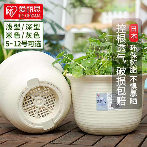 爱丽思iris日本zen花卉多肉花盆