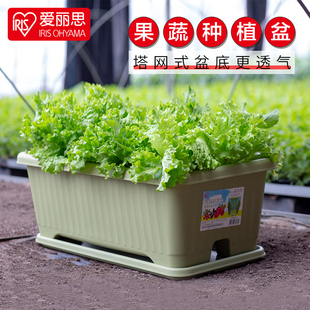 爱丽思IRIS长方形花盆蔬菜种植大号长条盆爱丽丝家用阳台种菜盆