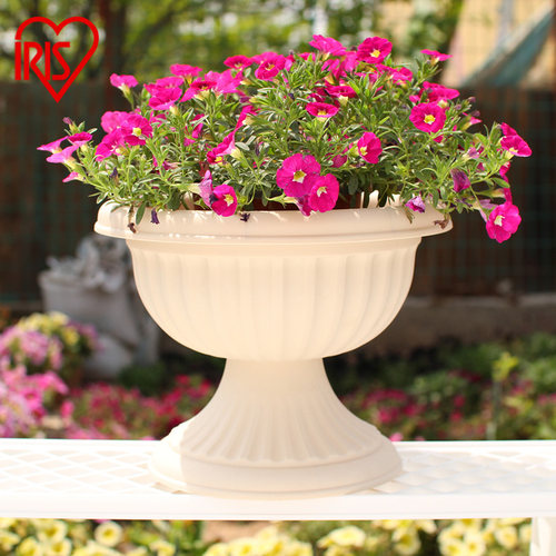 爱丽思家用陶瓷杯创意花盆塑料