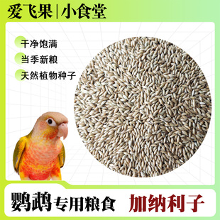 加纳利子鹦鹉鸟食饲料新粮 白尖粟玄凤牡丹凯克鹦鹉粮食零食