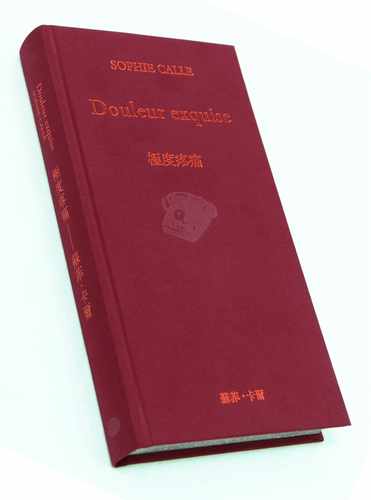 现货 极度疼痛 Douleur exquise 港台原版 苏菲卡尔 Sophie Calle 法国当代艺术教母 大家出版 摄影作品集 精装