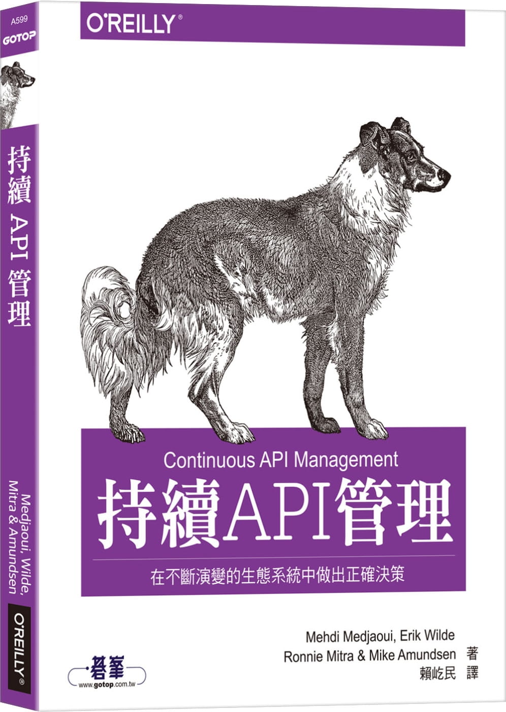 预售正版 原版进口图书 Mehdi Medjaoui持续API管理在不断演变的生态系统中做出正确决策欧莱礼计算机信息
