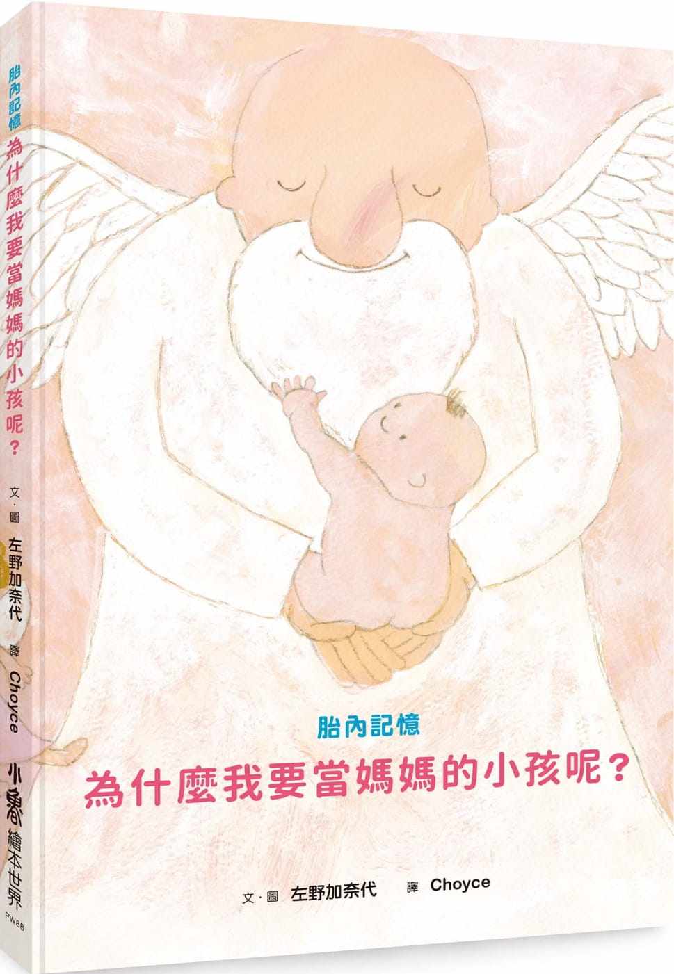 预售正版  胎内记忆为什么我要当妈妈的小孩呢？ 小鲁文化 原版进口书 童书 儿童读物