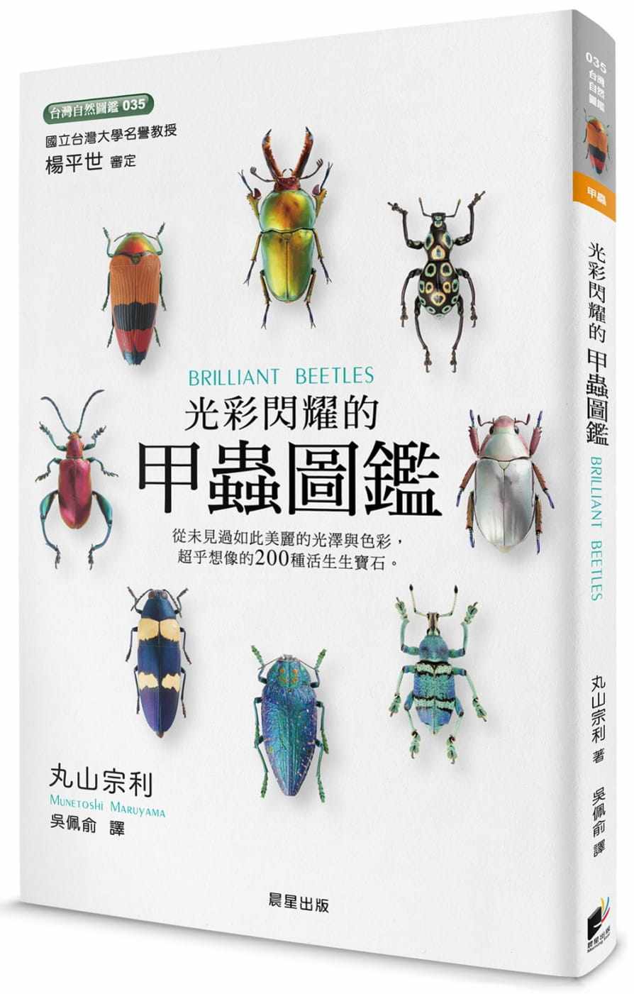 预售 原版进口光彩闪耀的甲虫图鉴晨星丸山宗利 动物/植物/图鉴/昆虫