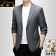 男外套 商务休闲中年条纹西装 狄斯仑高端精纺绵羊毛西服男士 春秋季