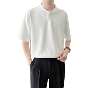 宽松立领ins轻熟风2024夏季新潮流男士短袖T恤打底Q152P55图片