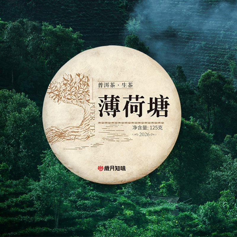 岁月知味2026年薄荷塘普洱生茶云南易武明前老树头春茶叶125g