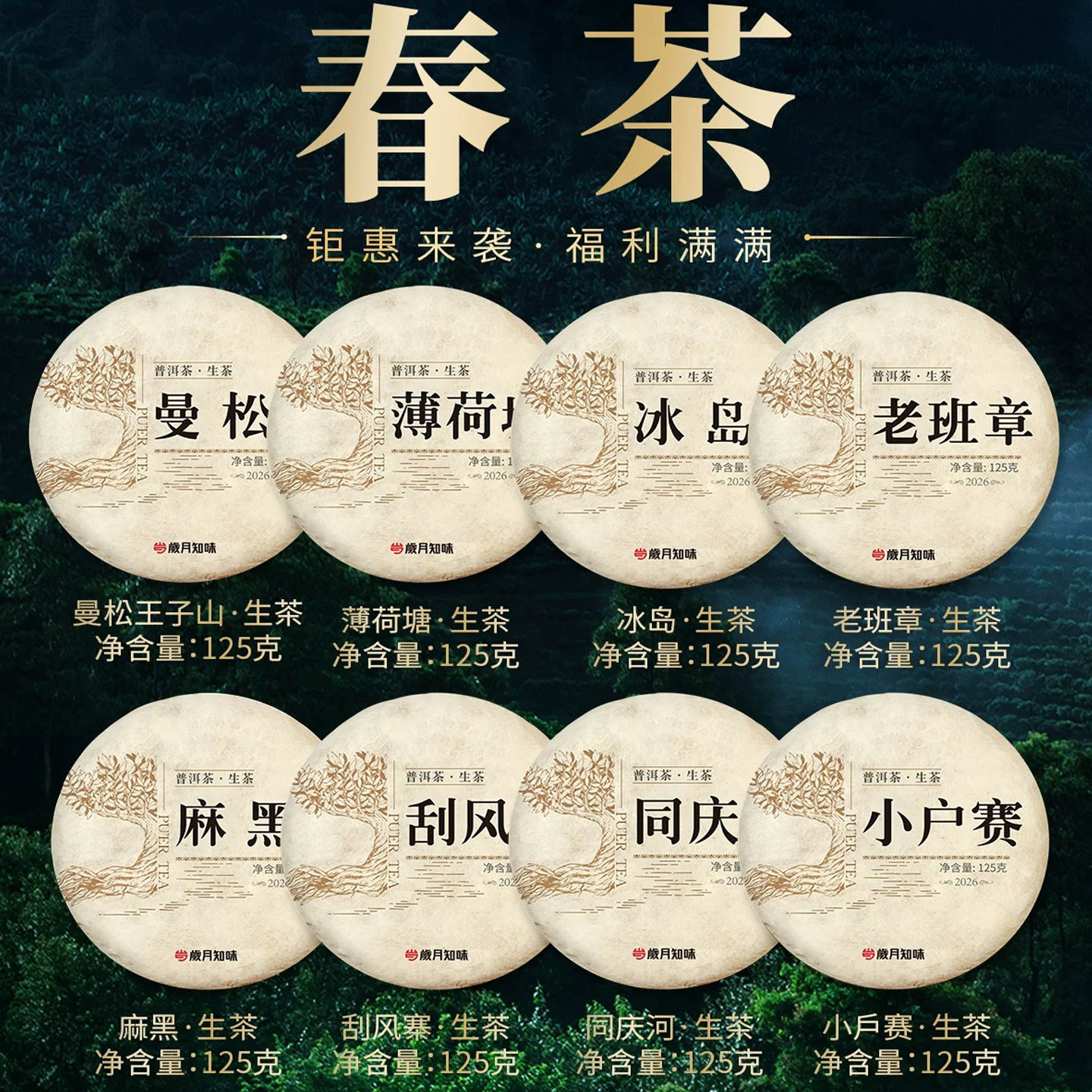 2026春茶古树临沧普洱生茶纯料