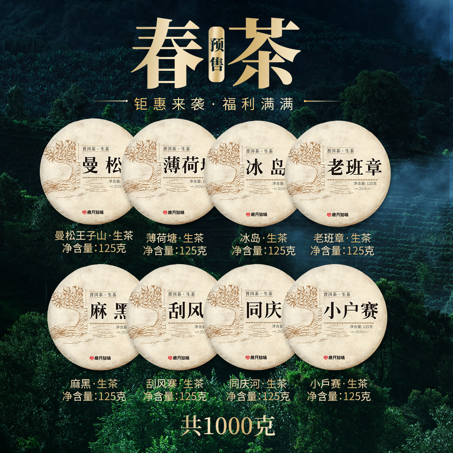 岁月知味2026年明前头春茶冰岛同庆河薄荷塘曼松云南普洱生茶茶叶
