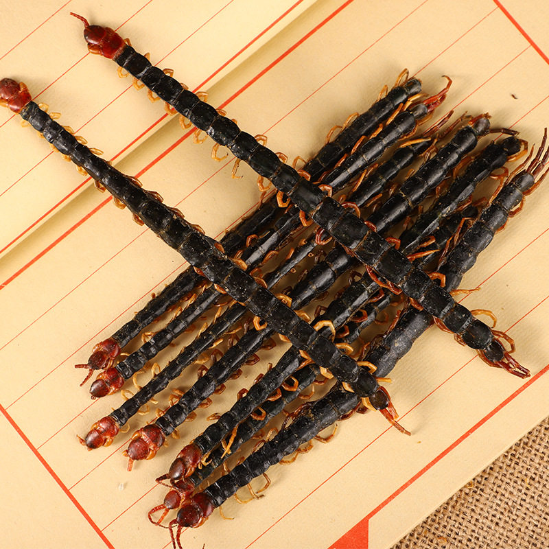 蜈蚣冷备昆虫类中药材蜈蚣干货蜈蚣大蜈蚣粉入药泡酒料