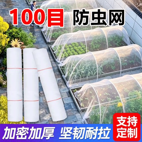 菜园防虫网100目农用尼龙网纱网