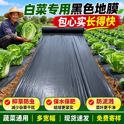 宽幅整卷黑地膜白菜菜园防草批发