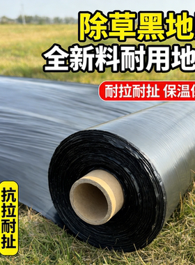 地膜种菜专用黑色加厚农用种植塑料薄膜一次性黑膜新型盖菜防草布