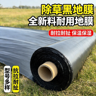 地膜种菜专用黑色加厚农用种植塑料薄膜一次性黑膜新型盖菜防草布