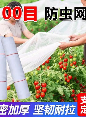 防虫网纱网农用蔬菜大棚防护网