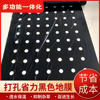 定制打孔地膜农用种植种菜专用塑料薄膜防草除草保温种菜带孔黑色