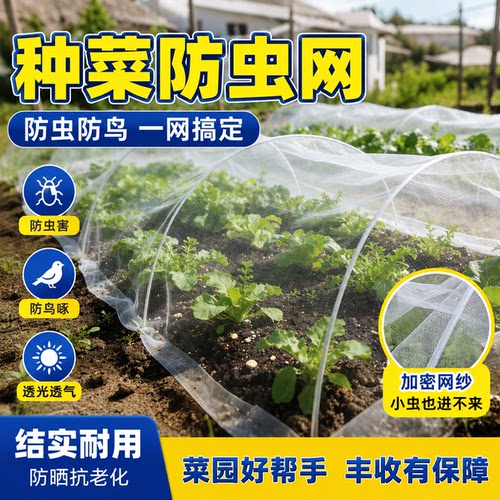 防虫网种菜专用抗老化100目防虫网大棚纱网果树防蚊网罩防蚊虫网