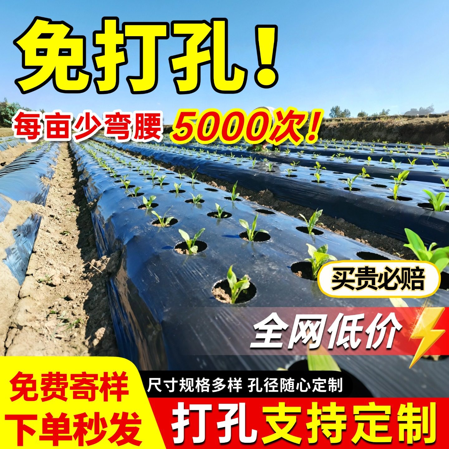 打孔银黑地膜农用种植种菜专用塑料薄膜防草有孔辣椒药材免开孔,农机/农具/农膜,农用薄膜,淘宝优惠券,粉丝福利购,淘宝优惠卷