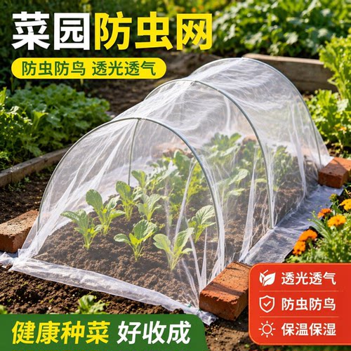 防虫网种菜专用抗老化100目防虫网大棚纱网果树防蚊网罩防蚊虫网