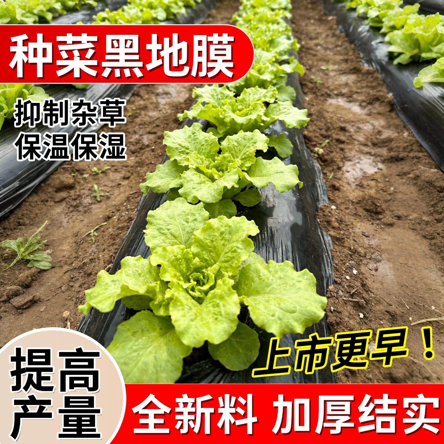 地膜种菜专用黑色加厚农用种植塑料薄膜防草布除草批发保温膜地钉,农机/农具/农膜,农用薄膜,淘宝优惠券,粉丝福利购,淘宝优惠卷