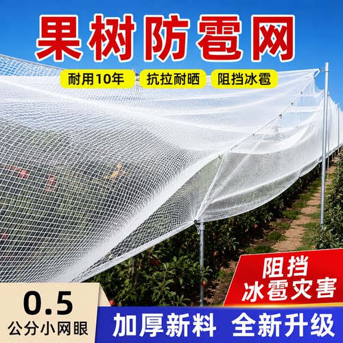 果树防雹网加厚防冰雹防护果园防鸟农用防护网果园网防鸟网葡萄网